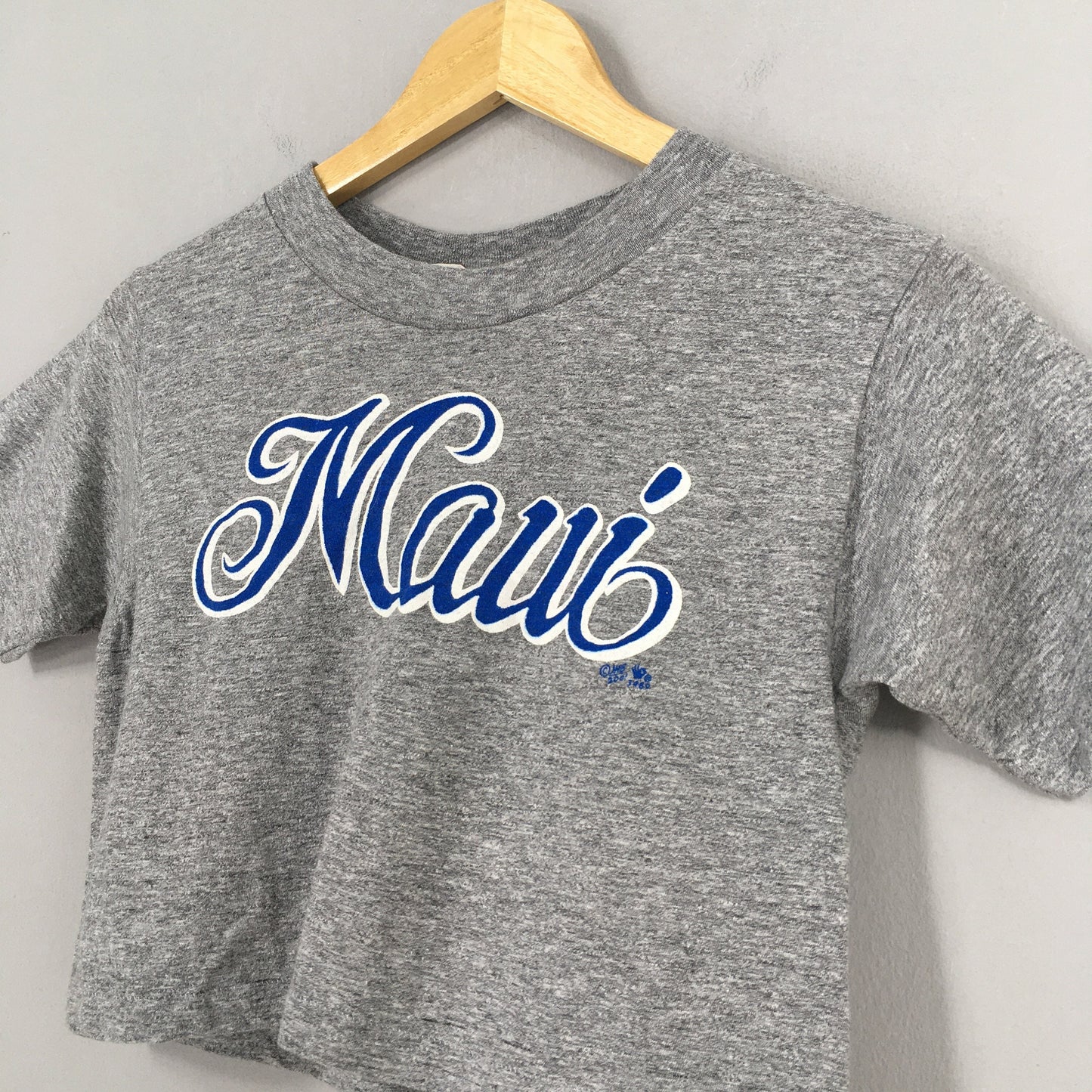 Maui Hawaii Cropped Gray T shirt Medium