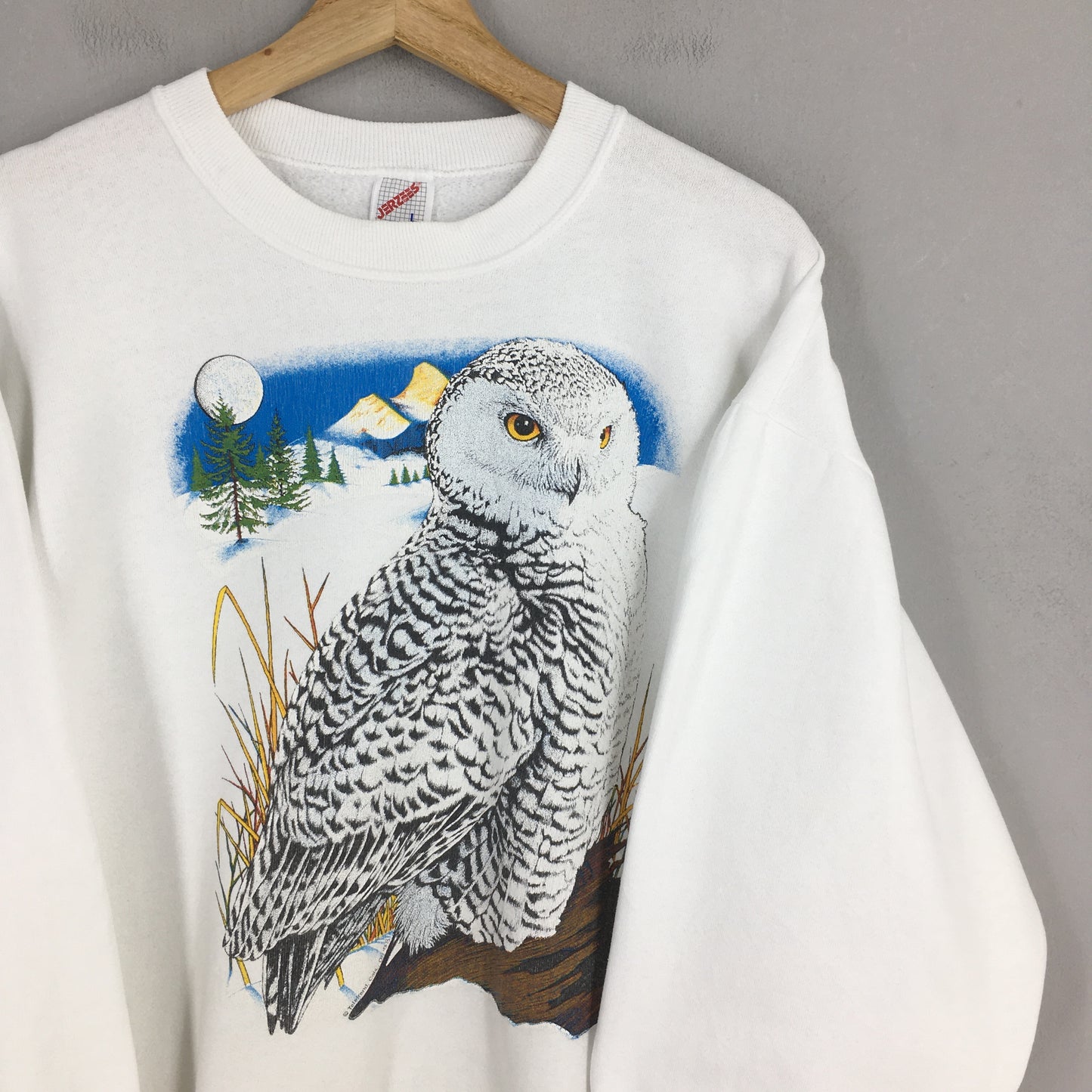 Alaska Snowy Owl White Sweatshirt Large