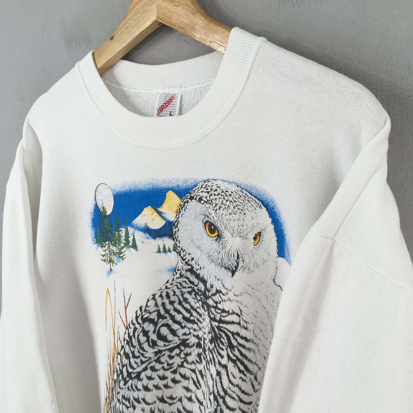 Alaska Snowy Owl White Sweatshirt Large