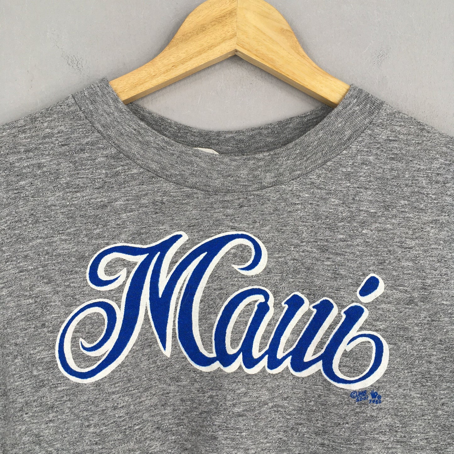 Maui Hawaii Cropped Gray T shirt Medium