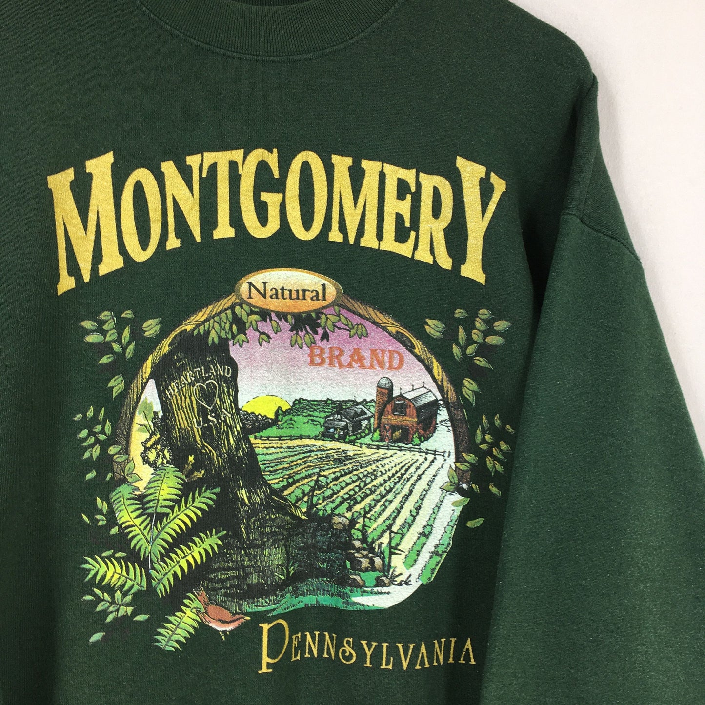 Montgomery Pennsylvania Green Sweatshirt XLarge