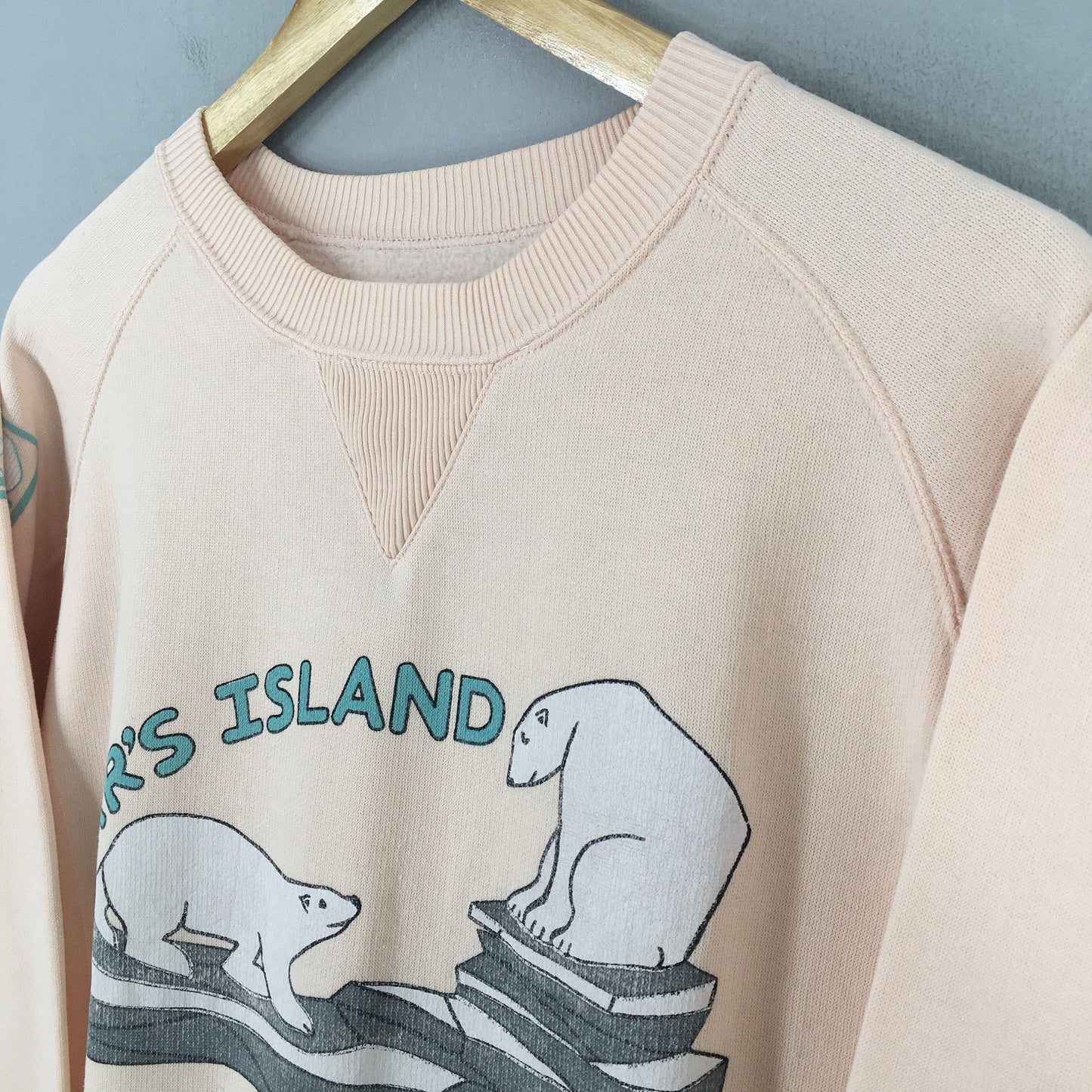 Alaska Polar Bear Sweatshirt Small