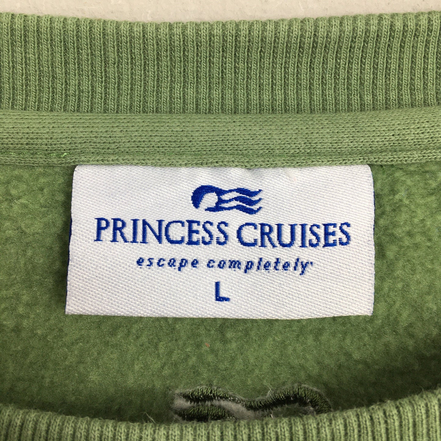 Princess Cruises Lake Graphic Abstract Sweatshirt Large