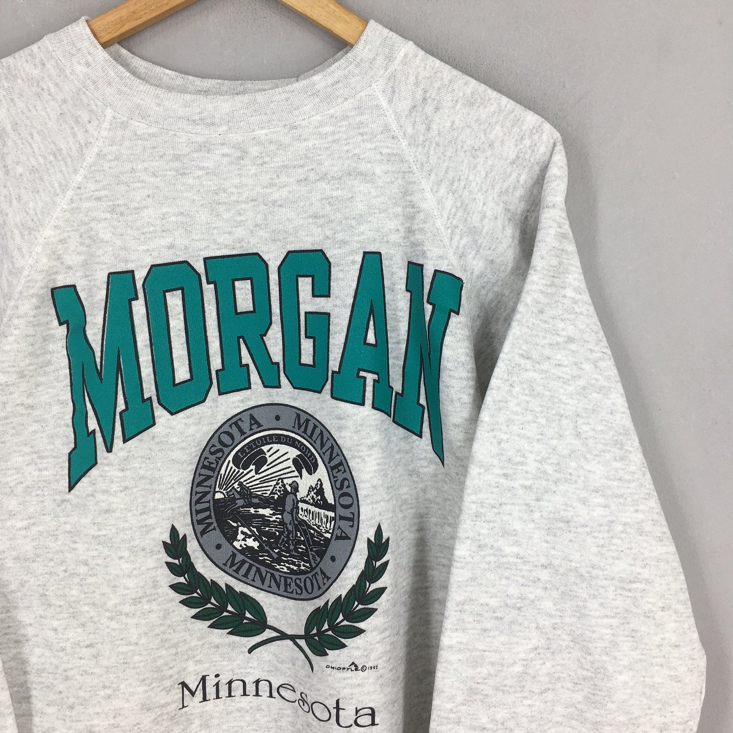 Morgan City Minnesota State Gray Sweatshirt XL