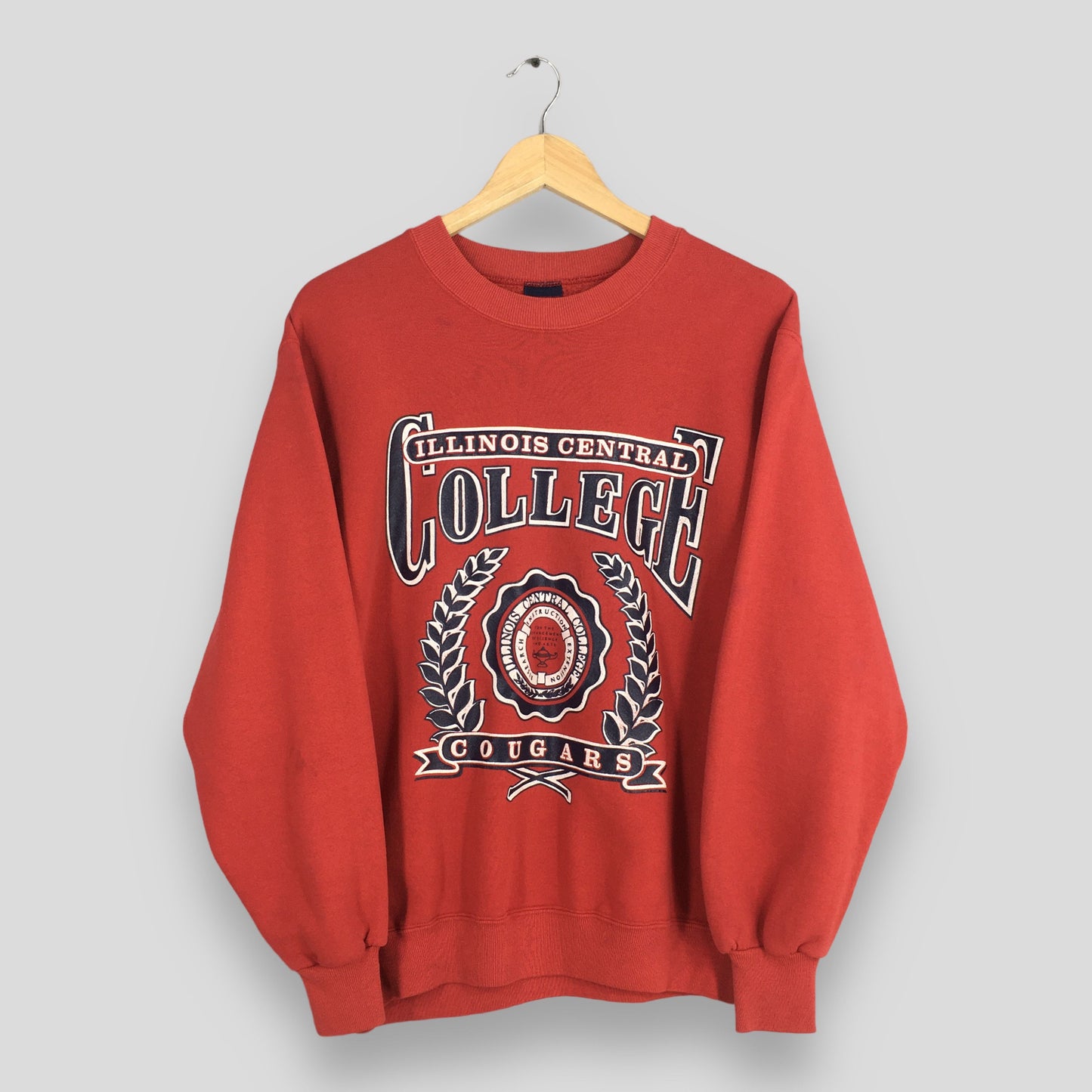 Illinois Central College Sweatshirt Small