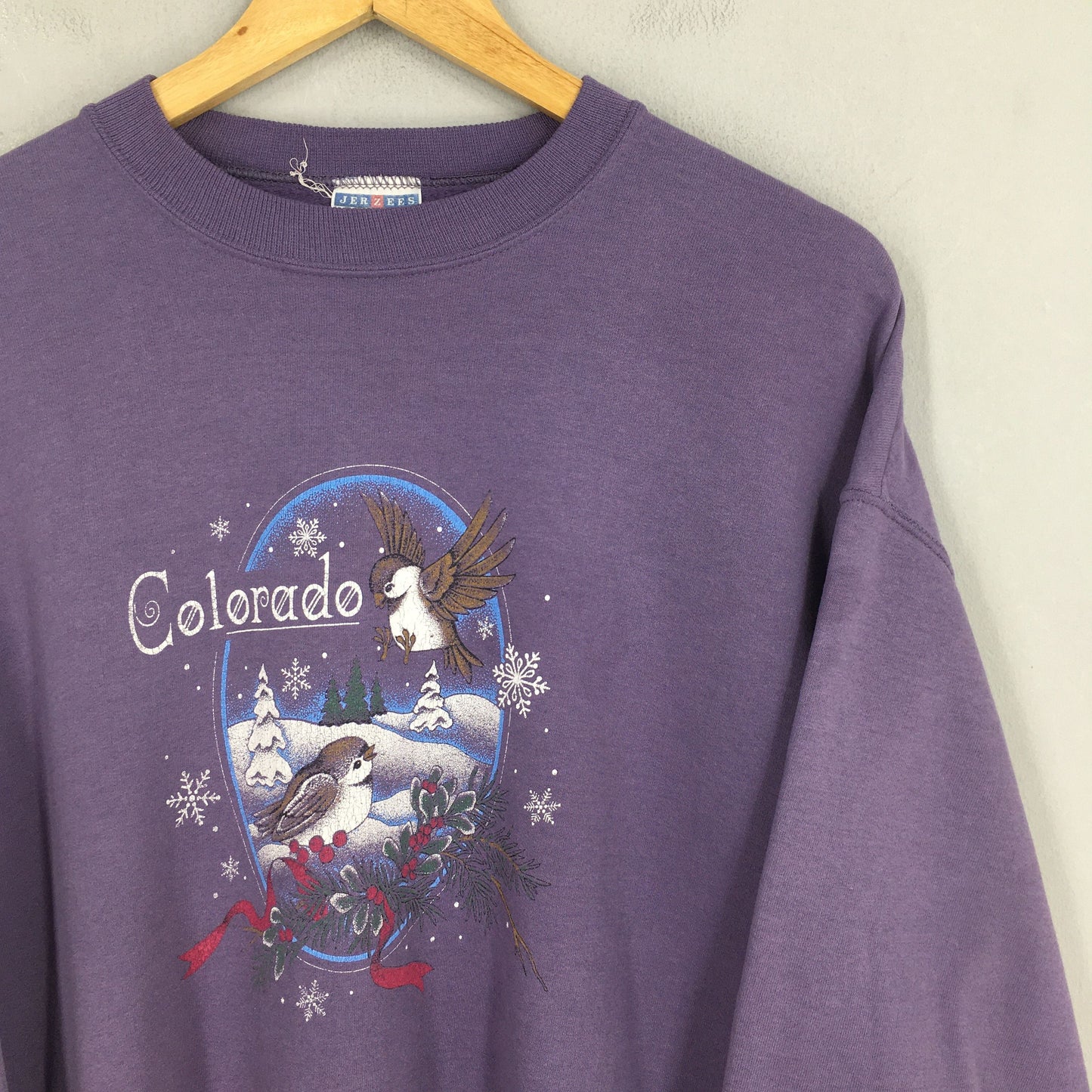 Colorado Bird Snow Graphics Sweatshirts Large