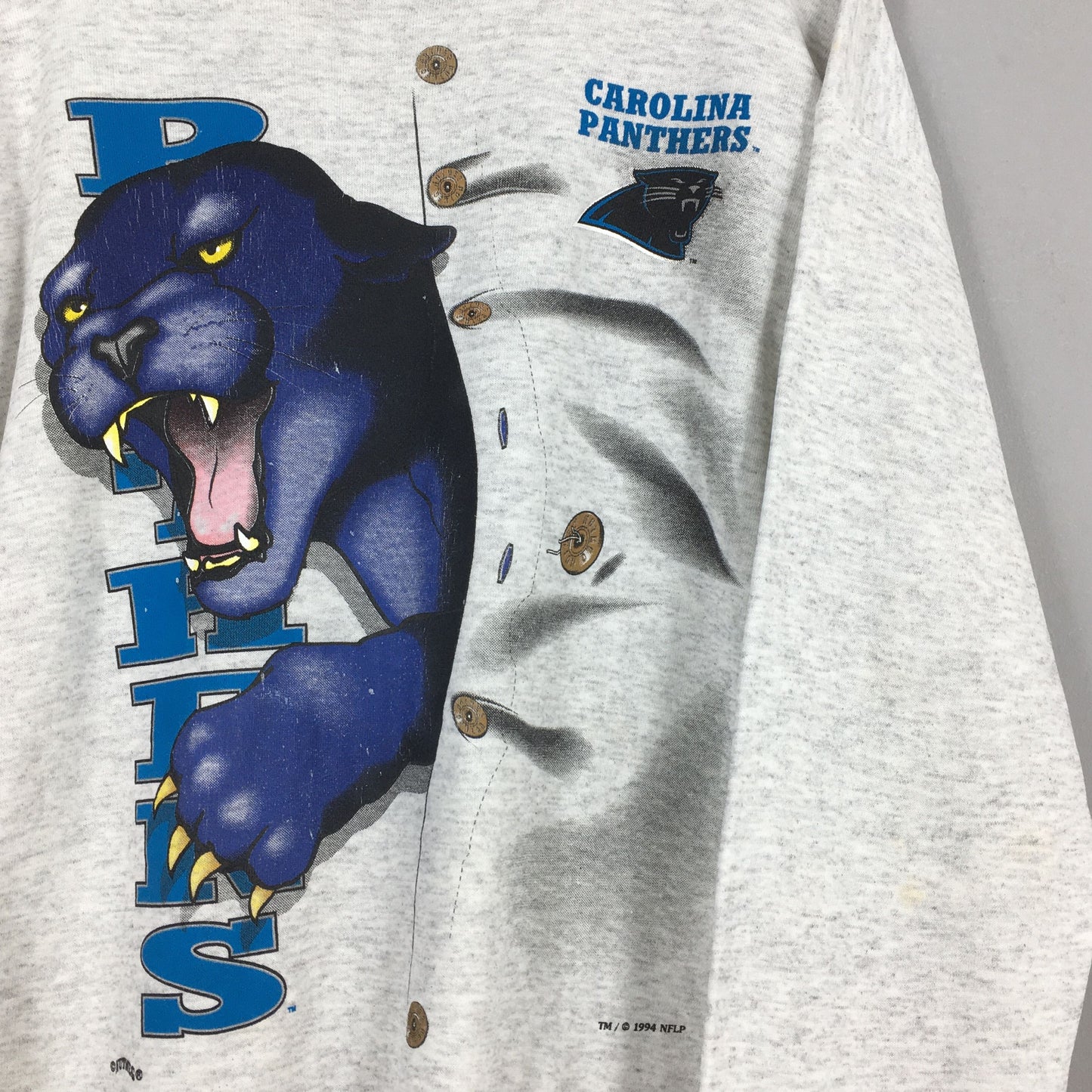 Carolina Panthers Nfl Sweatshirt Large