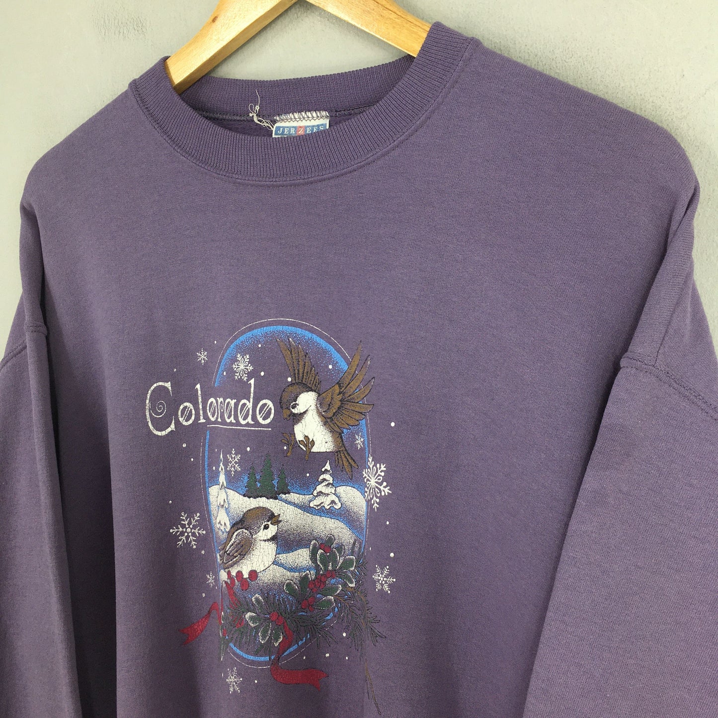 Colorado Bird Snow Graphics Sweatshirts Large