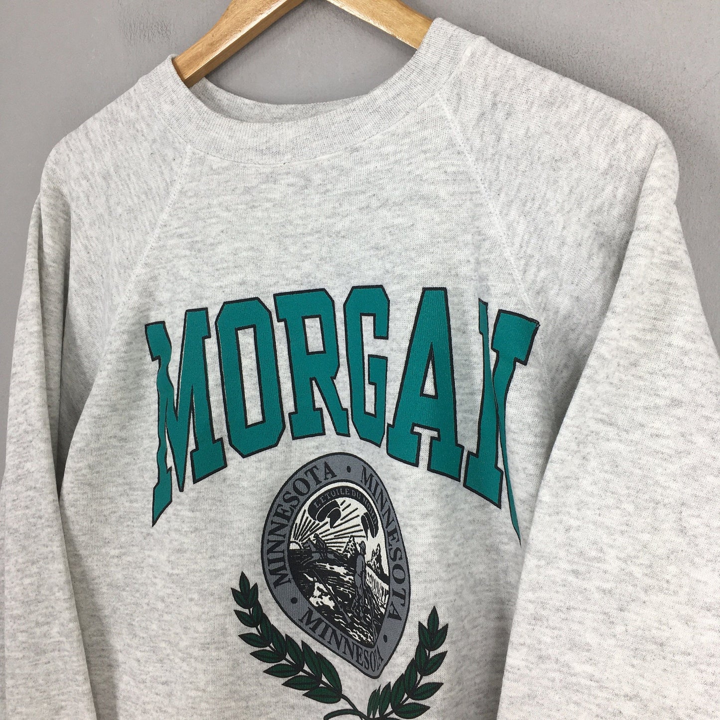 Morgan City Minnesota State Gray Sweatshirt XL