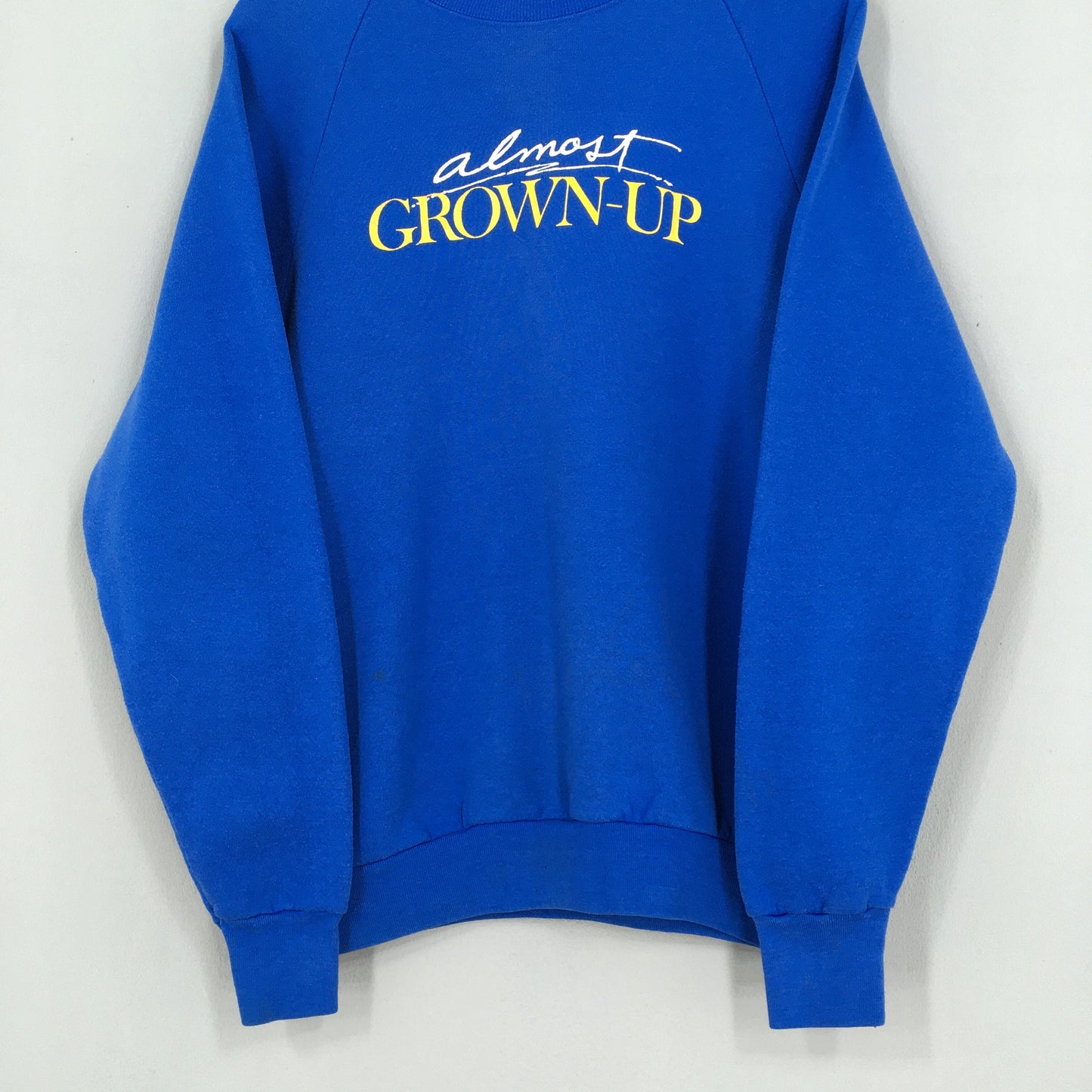 Almost Grown-Up TV Series Sweatshirt Large