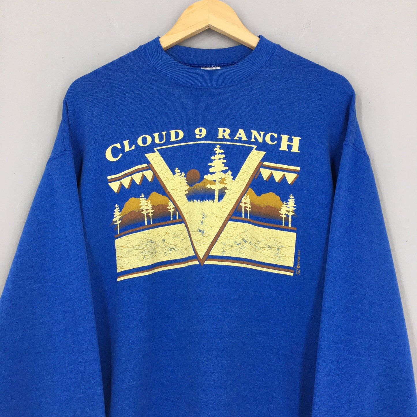 Cloud 9 Ranch Blue Sweater Large