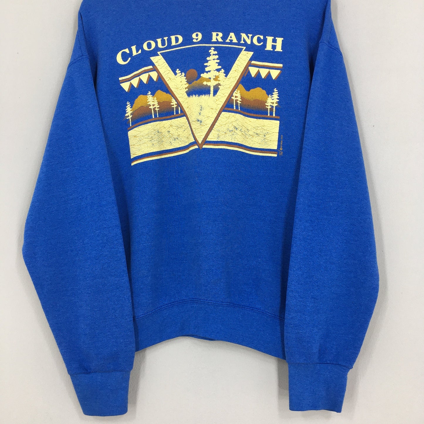 Cloud 9 Ranch Blue Sweater Large