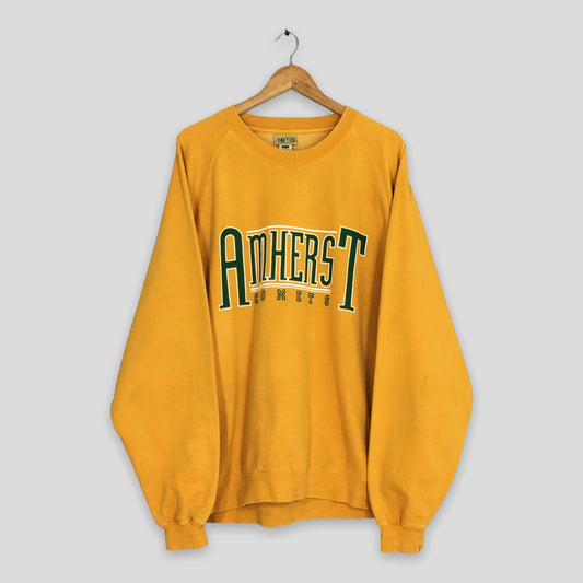 Y2K Amherst Steele Comets Sweatshirt Large