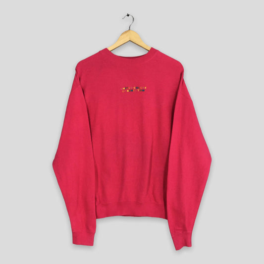 United Colors Of Benetton Pink Sweaters Small