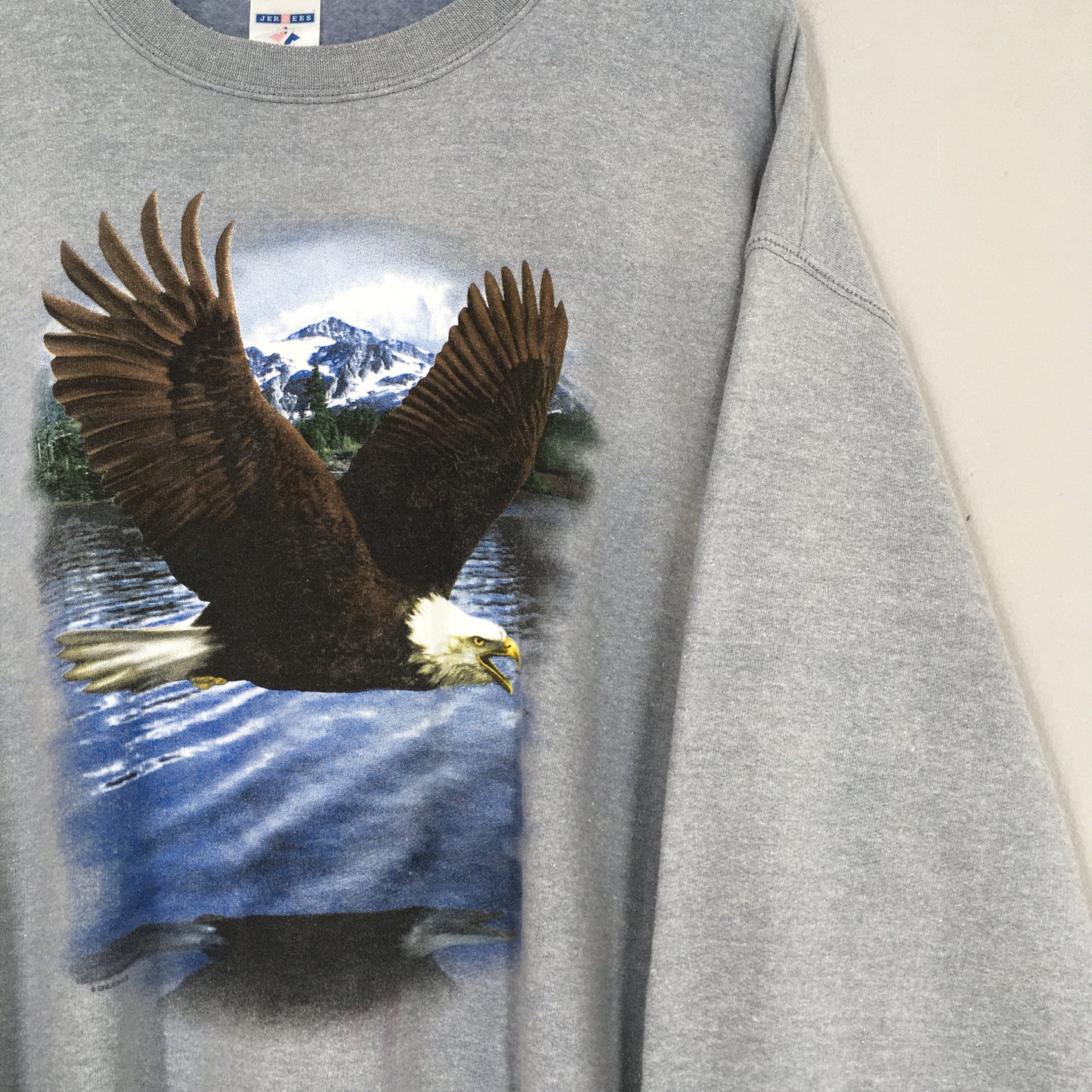 Eagles Hawk Animal Fly Free Sweatshirt XLarge