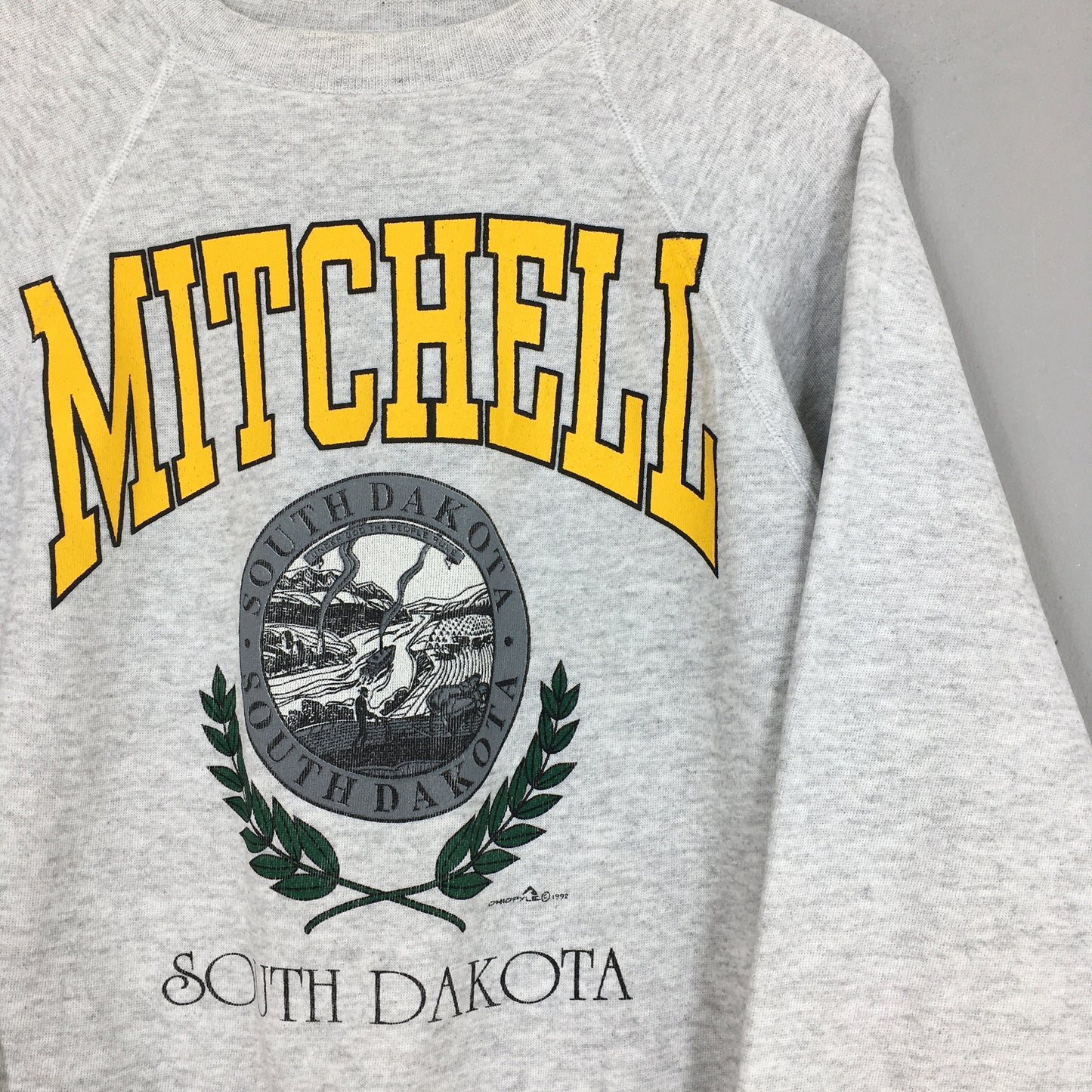 Mitchell South Dakota Gray Sweatshirt Large