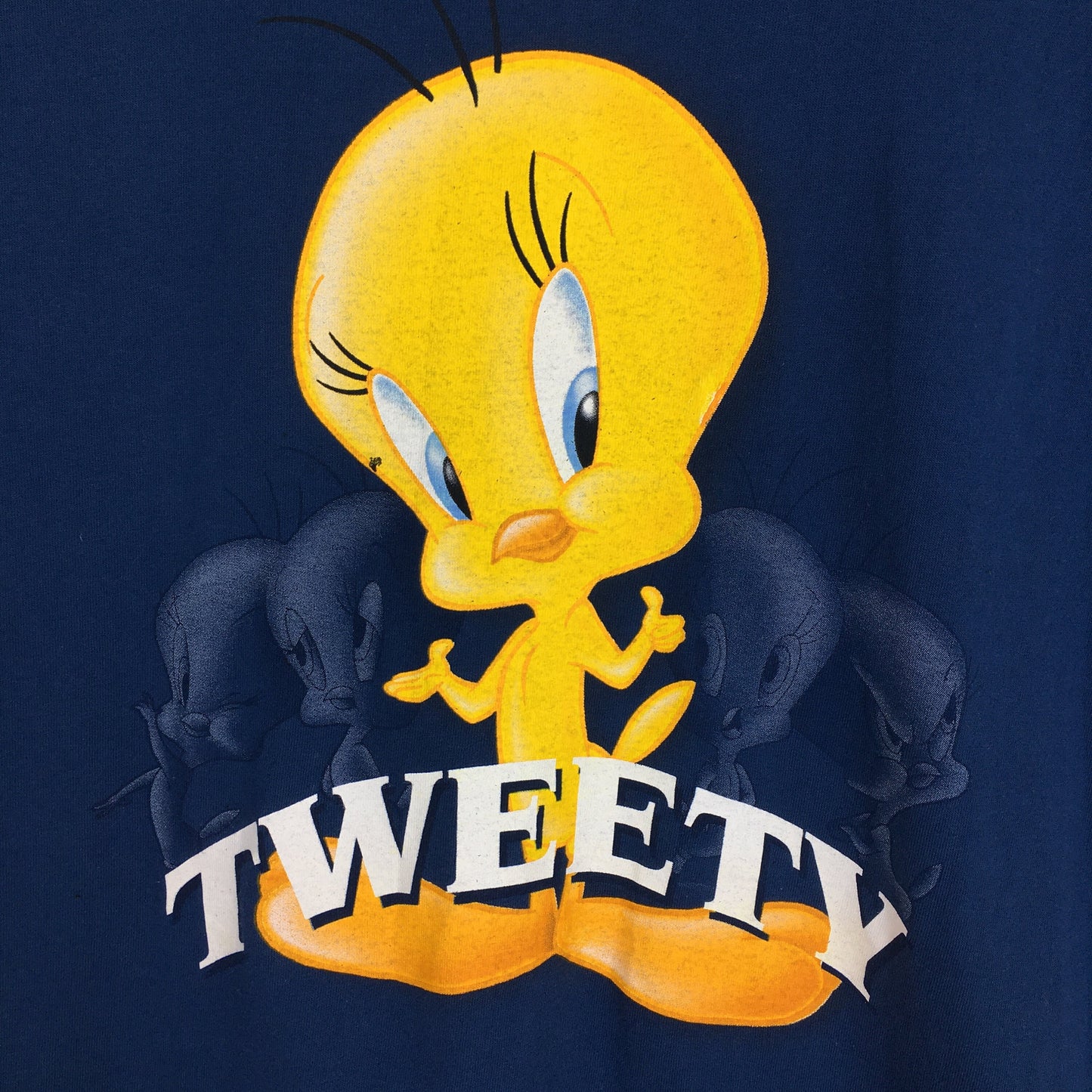 Looney Tunes Tweety Blue T shirt Medium